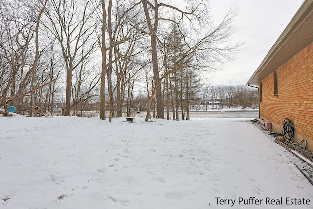 view of yard covered in snow