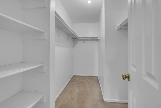 walk in closet featuring light colored carpet