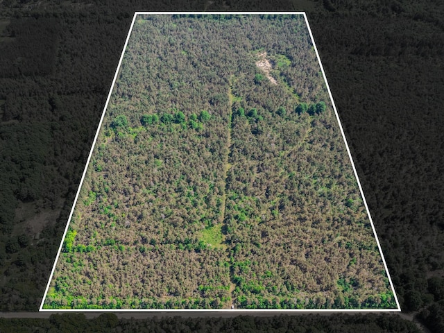 V/L N Webb Rd, Hessel, MI 49745 - photo 1