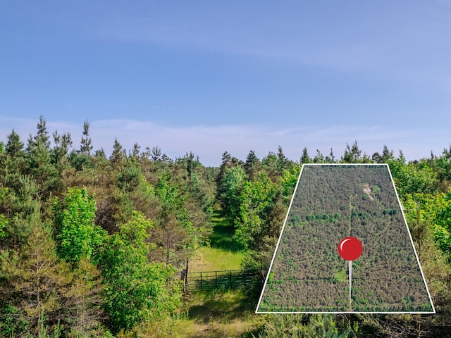 V/L N Webb Rd, Hessel, MI 49745 - photo 3