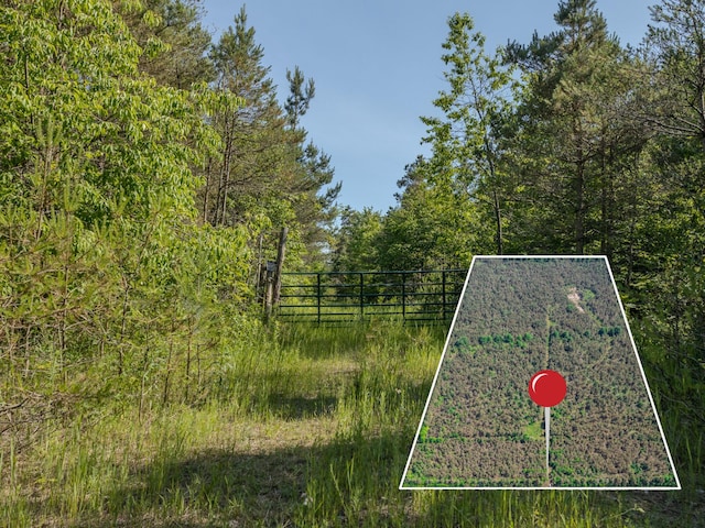 V/L N Webb Rd, Hessel, MI 49745 - photo 20