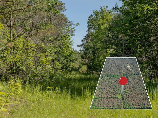 V/L N Webb Rd, Hessel, MI 49745 - photo 4