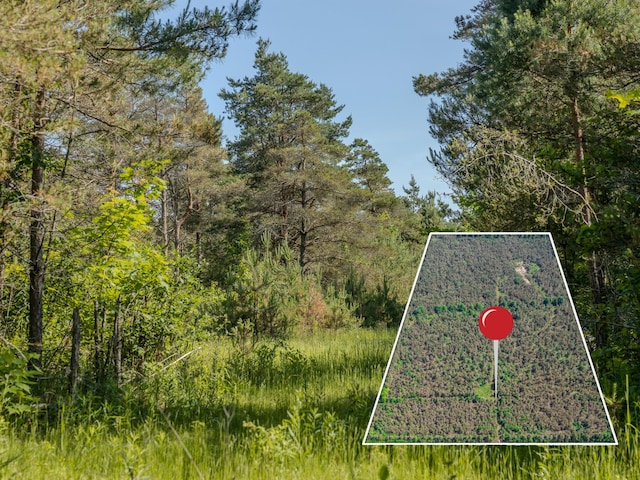 V/L N Webb Rd, Hessel, MI 49745 - photo 5