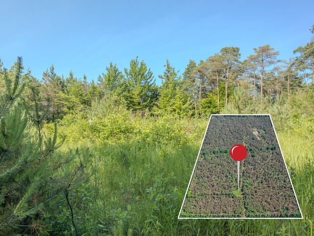 V/L N Webb Rd, Hessel, MI 49745 - photo 8