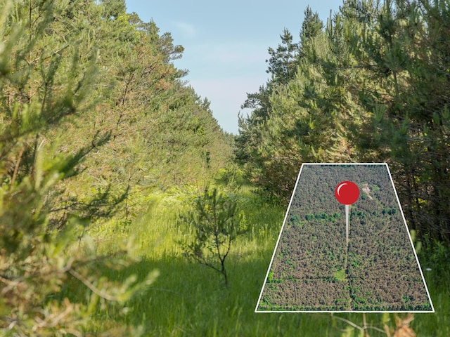 V/L N Webb Rd, Hessel, MI 49745 - photo 9
