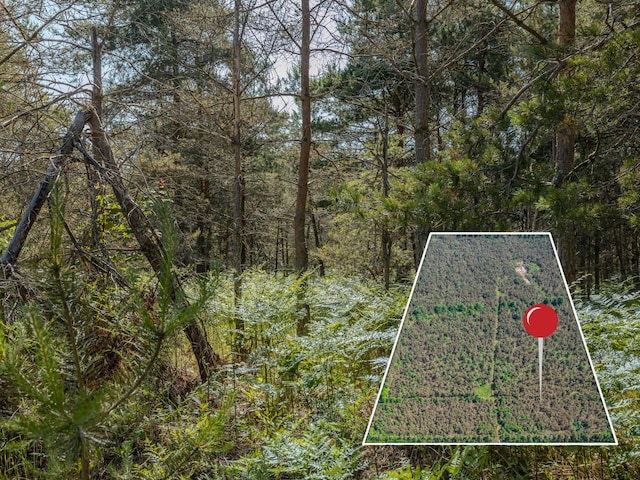 V/L N Webb Rd, Hessel, MI 49745 - photo 12