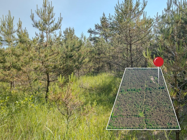 V/L N Webb Rd, Hessel, MI 49745 - photo 22