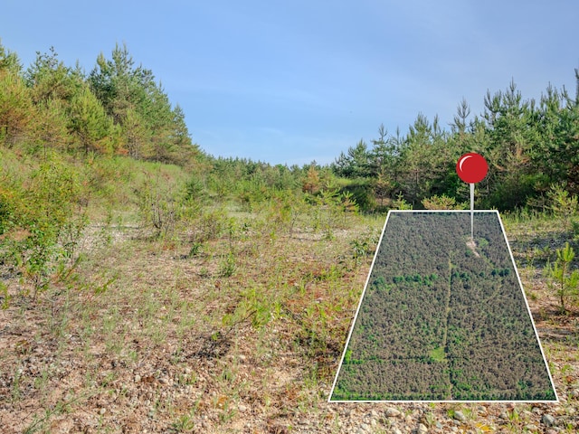 V/L N Webb Rd, Hessel, MI 49745 - photo 25