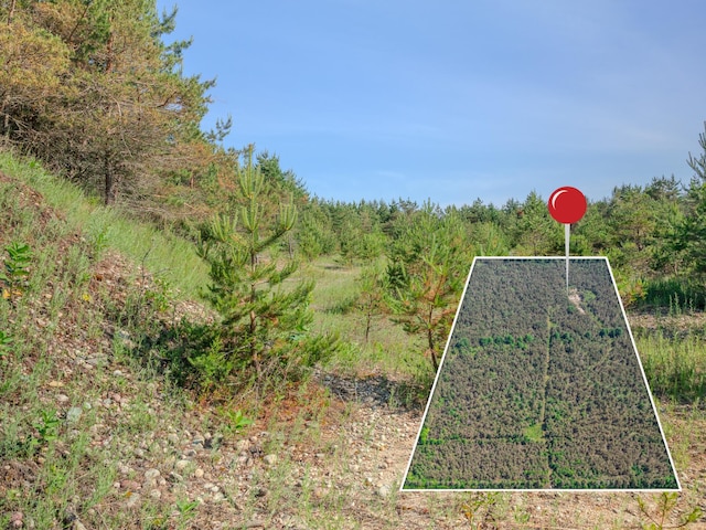 V/L N Webb Rd, Hessel, MI 49745 - photo 26