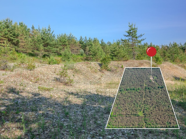 V/L N Webb Rd, Hessel, MI 49745 - photo 27