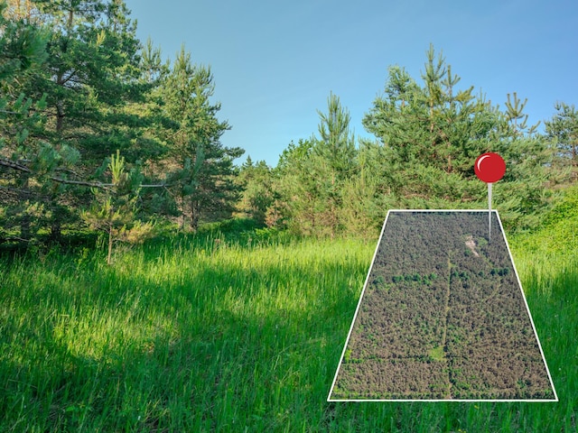 V/L N Webb Rd, Hessel, MI 49745 - photo 30
