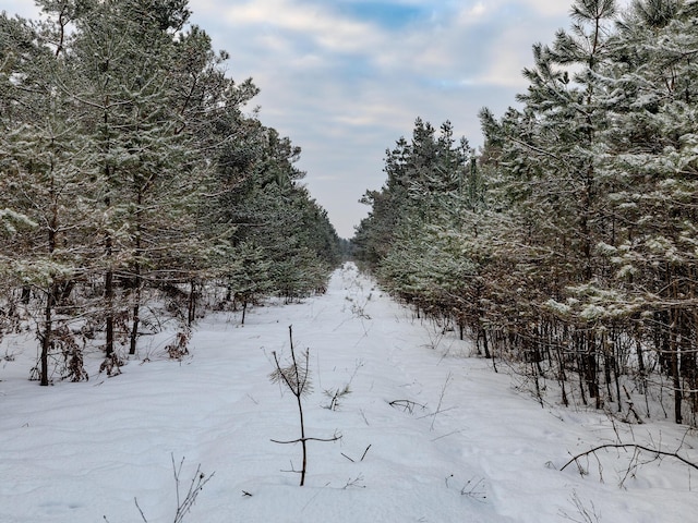 V/L N Webb Rd, Hessel, MI 49745 - photo 36