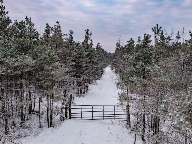 V/L N Webb Rd, Hessel, MI 49745 - photo 37