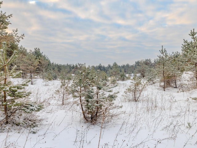 V/L N Webb Rd, Hessel, MI 49745 - photo 38