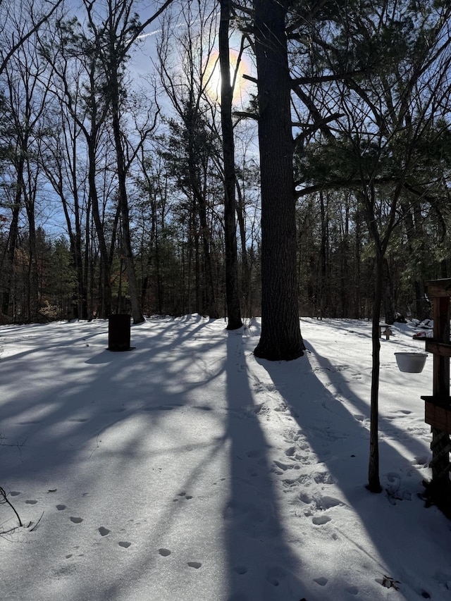 view of yard layered in snow