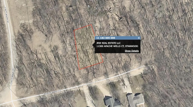11300 Apache Wells Ct, Stanwood, MI 49346 - aerial overview of property's location