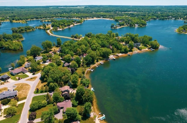11300 Apache Wells Ct, Stanwood, MI 49346 - aerial view of a heavily wooded area and a large body of water