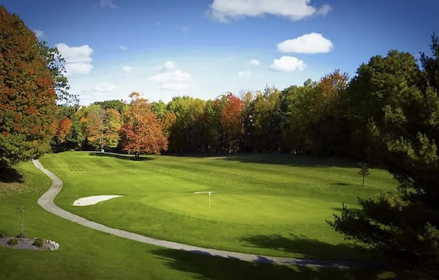 11300 Apache Wells Ct, Stanwood, MI 49346 - surrounding community featuring a putting green, view of golf course, and a yard