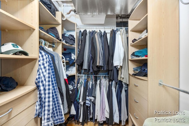 view of spacious closet