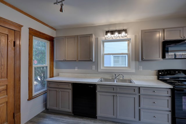 kitchen featuring dark hardwood / wood-style flooring, sink, gray cabinets, and black appliances