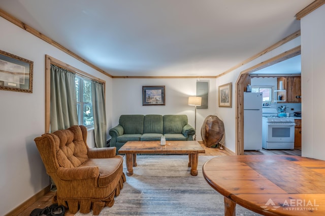 living room featuring crown molding