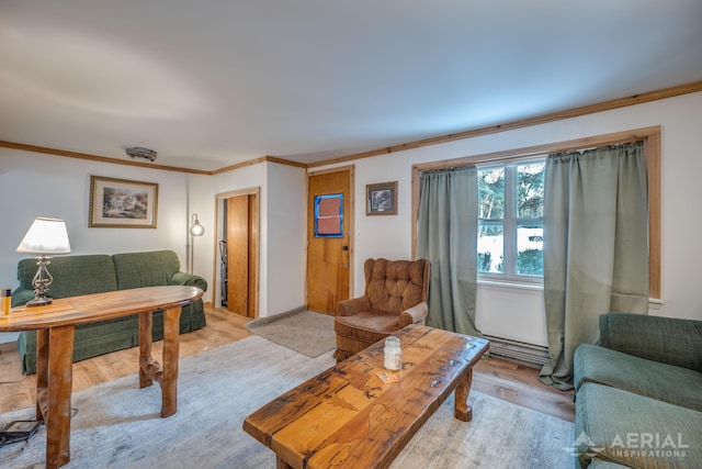 living room featuring ornamental molding and light hardwood / wood-style flooring