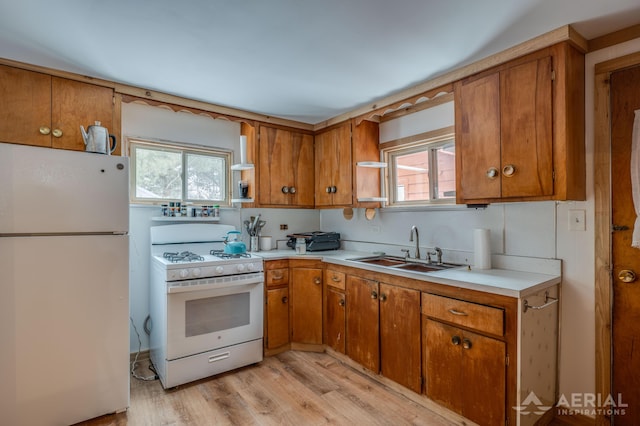 kitchen with a healthy amount of sunlight, sink, white appliances, and light hardwood / wood-style floors