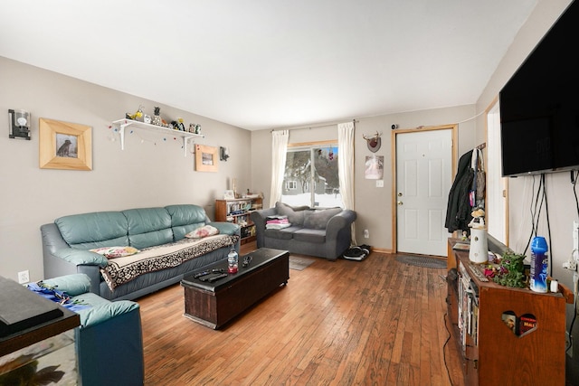 living room featuring wood-type flooring