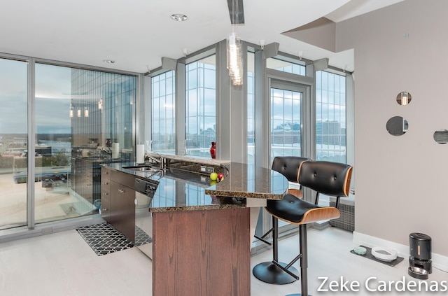 interior space with sink, a wall of windows, dark stone counters, hanging light fixtures, and stainless steel dishwasher