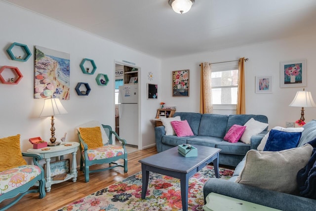 living room with light hardwood / wood-style flooring