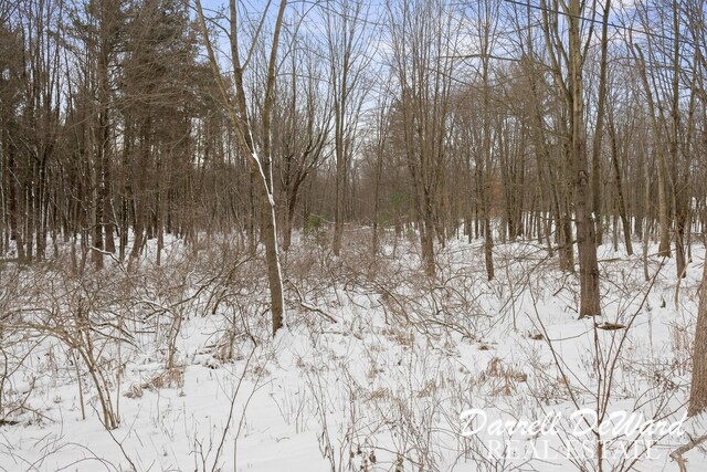 8690 Greeley Ct NE, Rockford, MI 49341 - photo 19