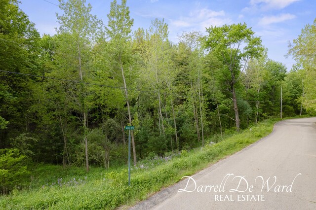 8690 Greeley Ct NE, Rockford, MI 49341 - photo 8