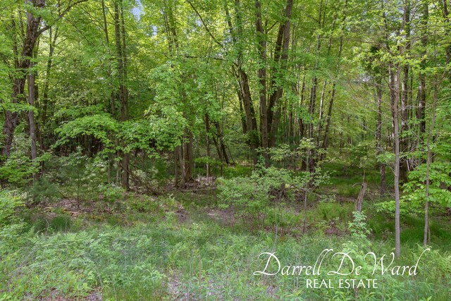 8690 Greeley Ct NE, Rockford, MI 49341 - photo 15