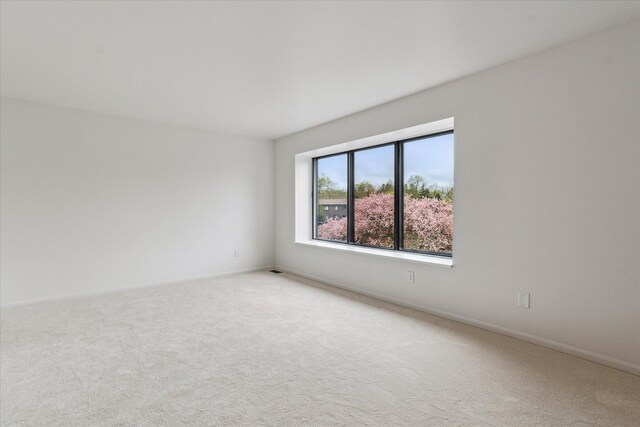 spare room featuring light carpet