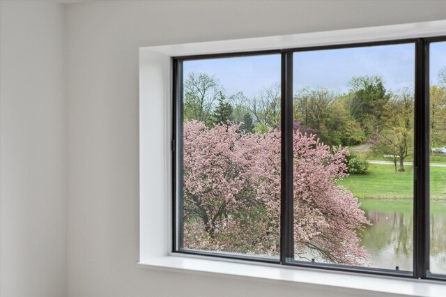 entryway featuring healthy amount of natural light and a water view