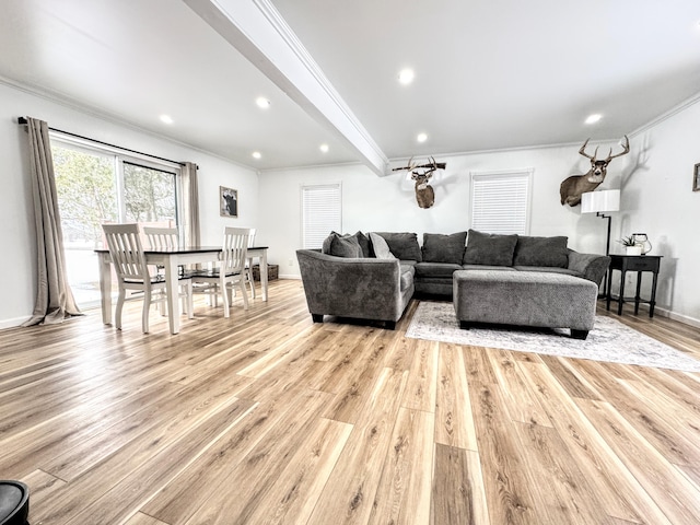 living room featuring ornamental molding and light wood-type flooring