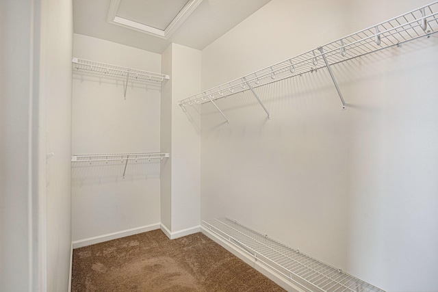 spacious closet featuring carpet floors