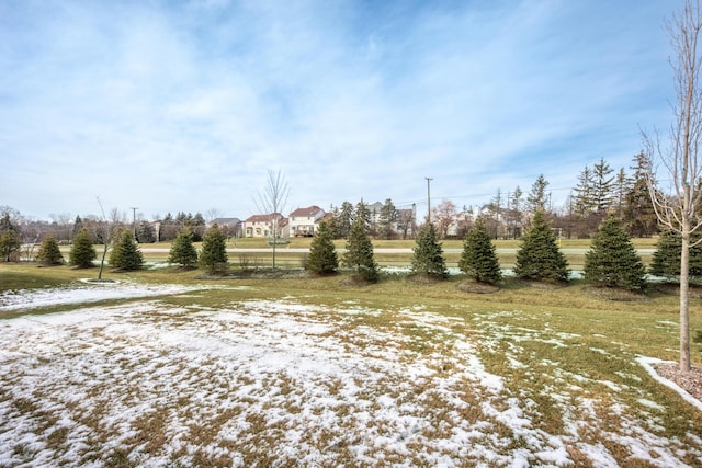 view of yard covered in snow