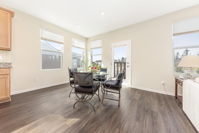 dining room featuring dark wood-type flooring