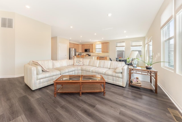 living room with dark hardwood / wood-style flooring