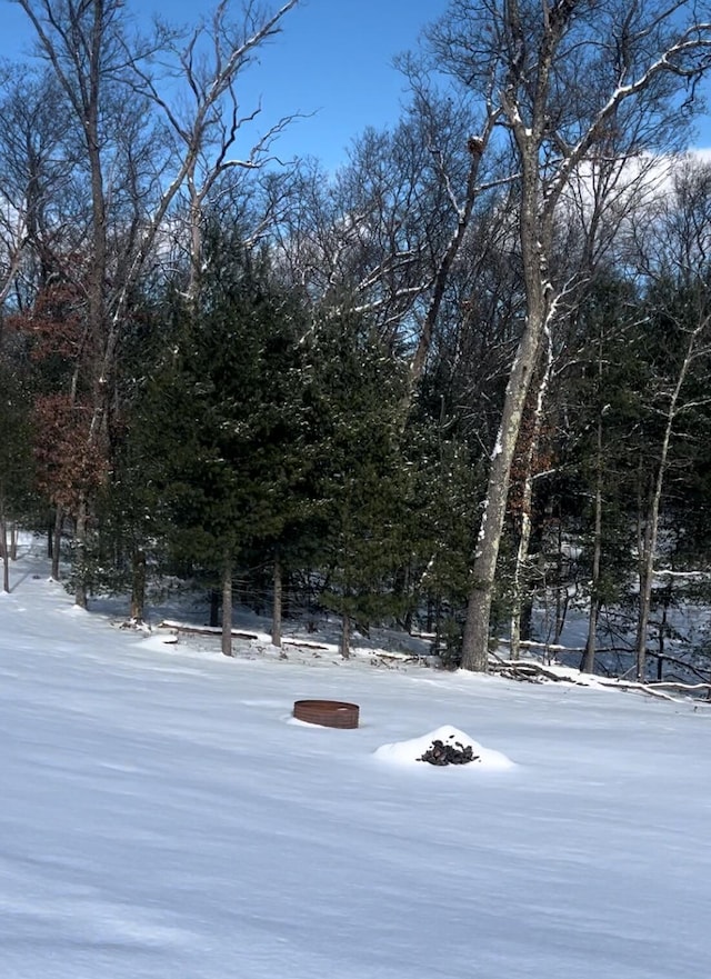 view of yard layered in snow