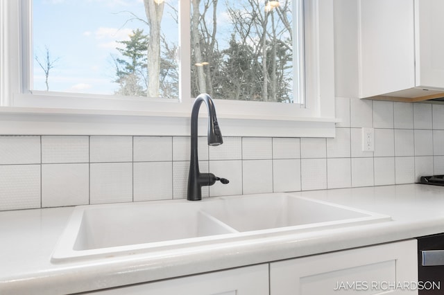 room details featuring light countertops, decorative backsplash, white cabinetry, a sink, and dishwasher