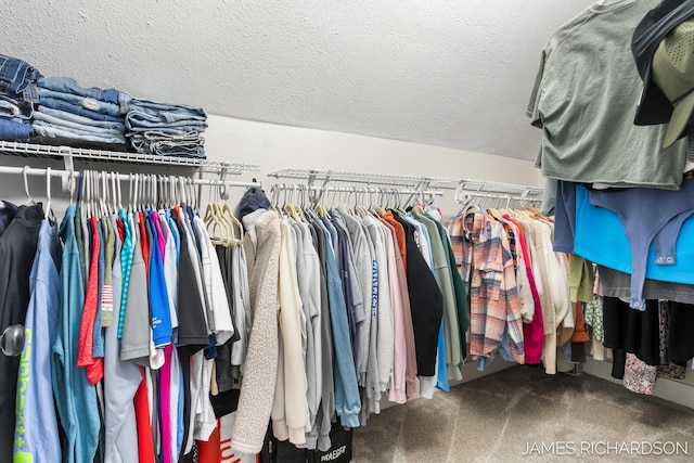 walk in closet with carpet flooring