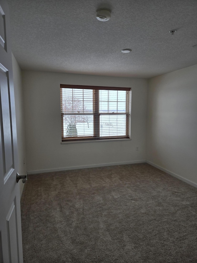 carpeted spare room featuring a wealth of natural light and a textured ceiling