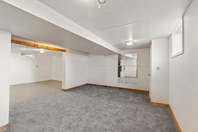 basement with carpet