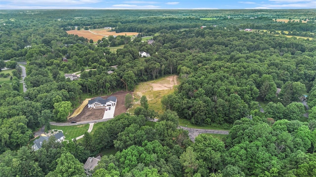 10621 Sun Da Go Dr, Middleville, MI 49333 - photo 5