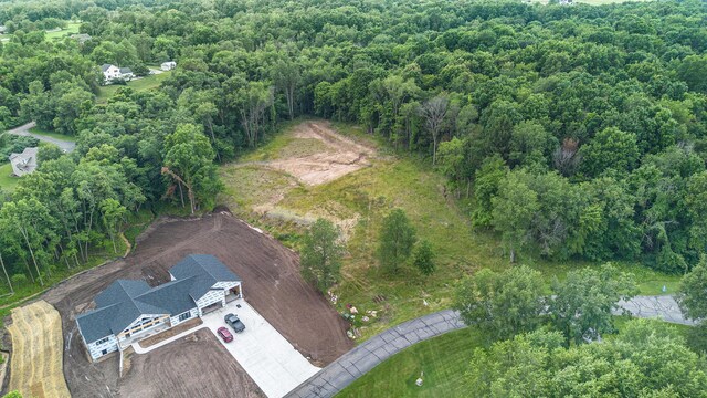10621 Sun Da Go Dr, Middleville, MI 49333 - photo 3