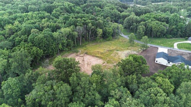 10621 Sun Da Go Dr, Middleville, MI 49333 - photo 8