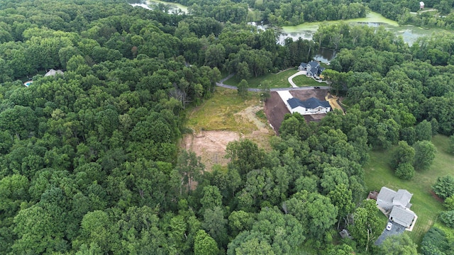 10621 Sun Da Go Dr, Middleville, MI 49333 - photo 10