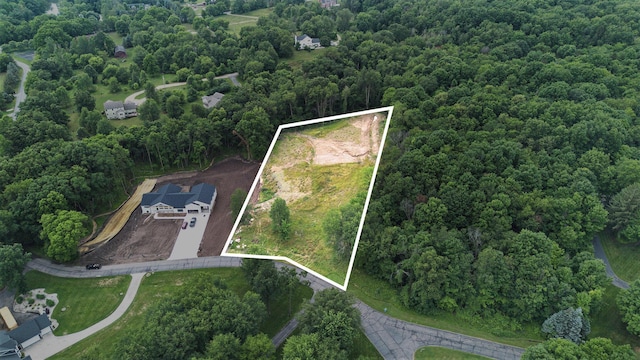 10621 Sun Da Go Dr, Middleville, MI 49333 - photo 1